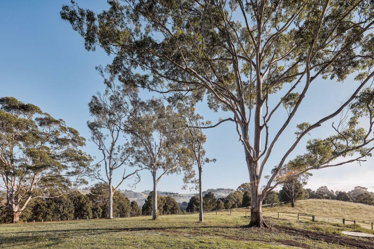 99 Acres Bangalow Retreat Esterno foto